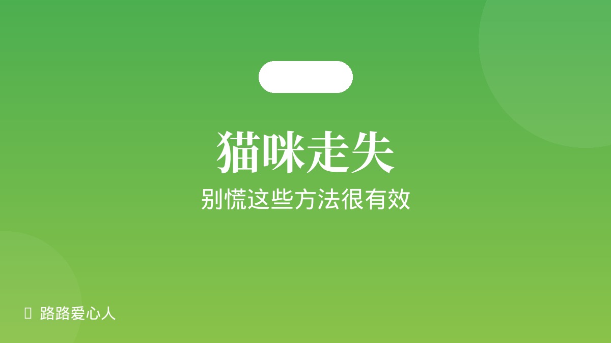 猫咪走失怎么找：别慌，这些方法很有效