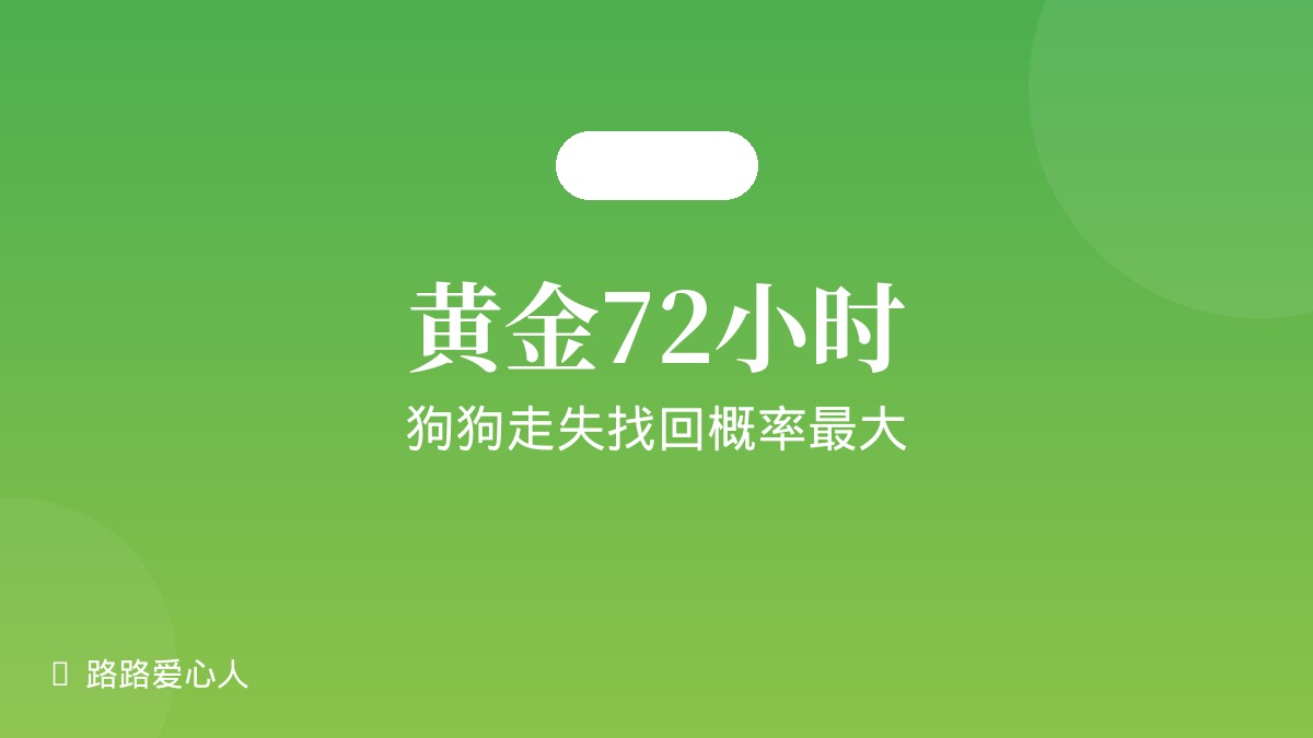 狗狗走失后黄金72小时:这样做找回概率最大