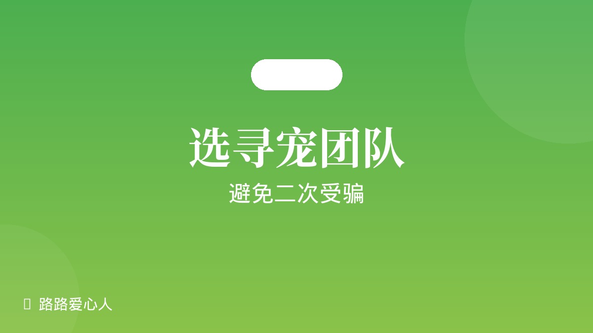 怎么选靠谱的寻宠团队：避免二次受骗