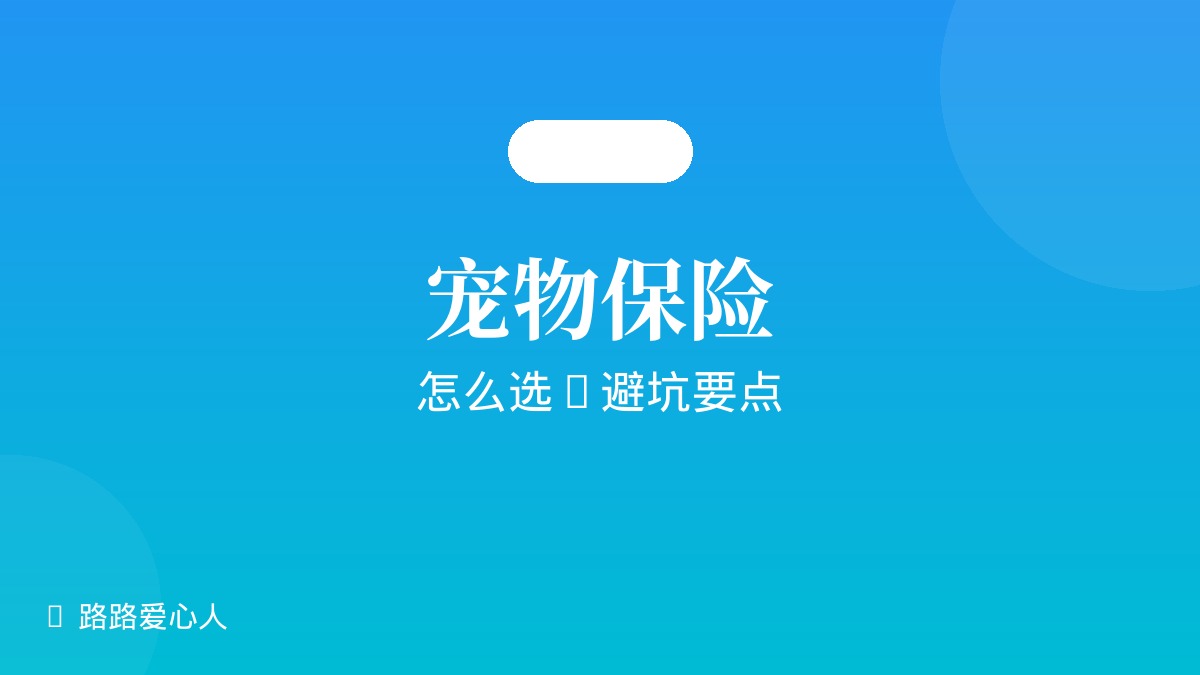 宠物保险怎么选：避坑要点和理赔流程