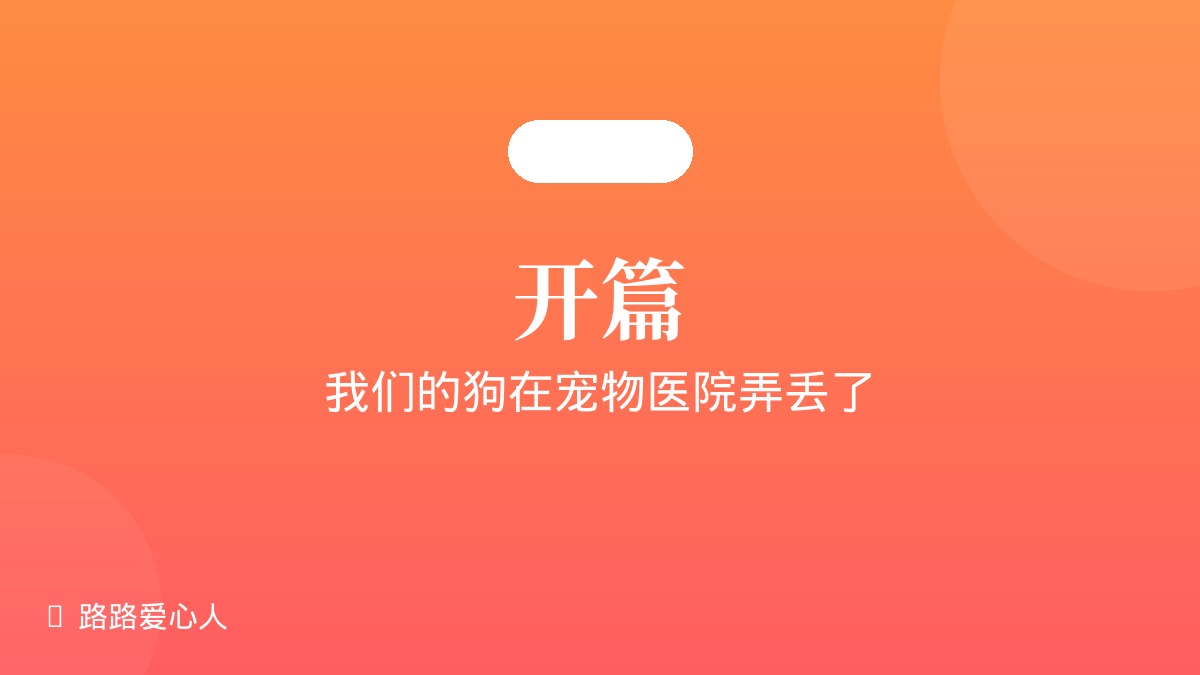 第01期|开篇·我们的狗在宠物医院弄丢了|路路丢失事件