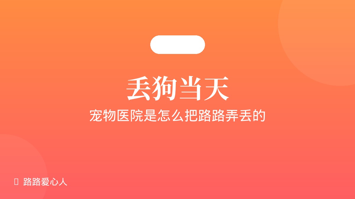 第02期|丢狗当天·宠物医院是怎么把路路弄丢的|路路丢失事件