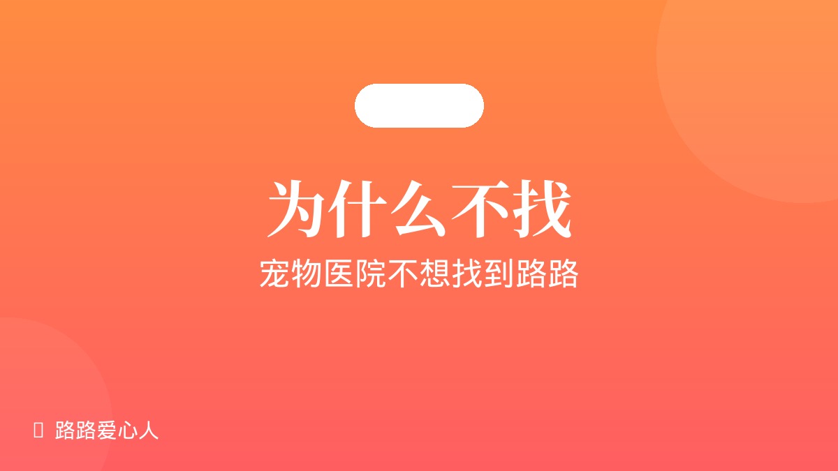 第03期|为什么宠物医院不想找到路路|路路丢失事件