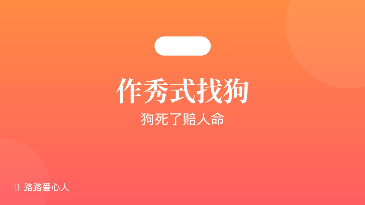 第05期|作秀式找狗·狗死了赔人命|路路丢失事件