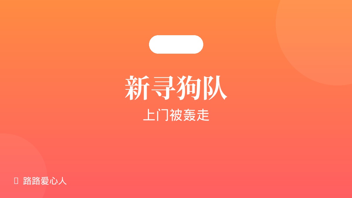 第06期|新寻狗队上门被轰走|路路丢失事件