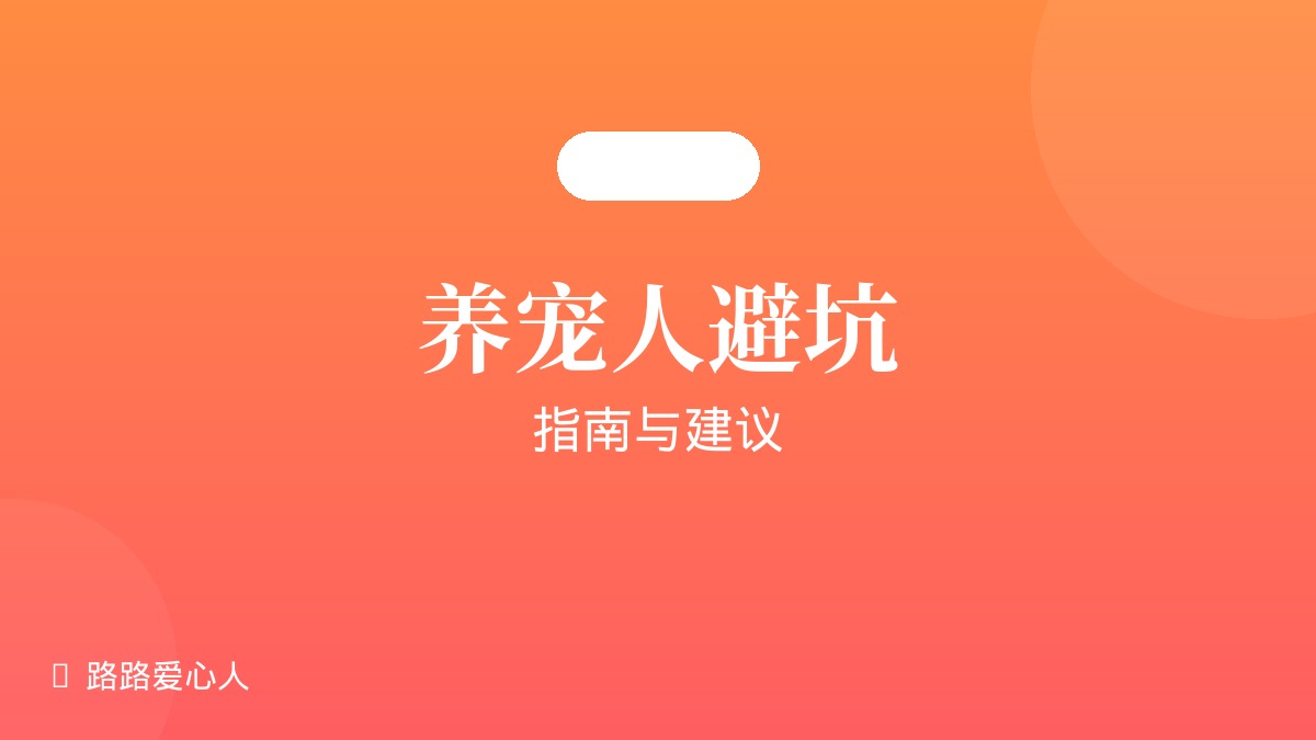第10期|养宠人避坑指南|路路丢失事件