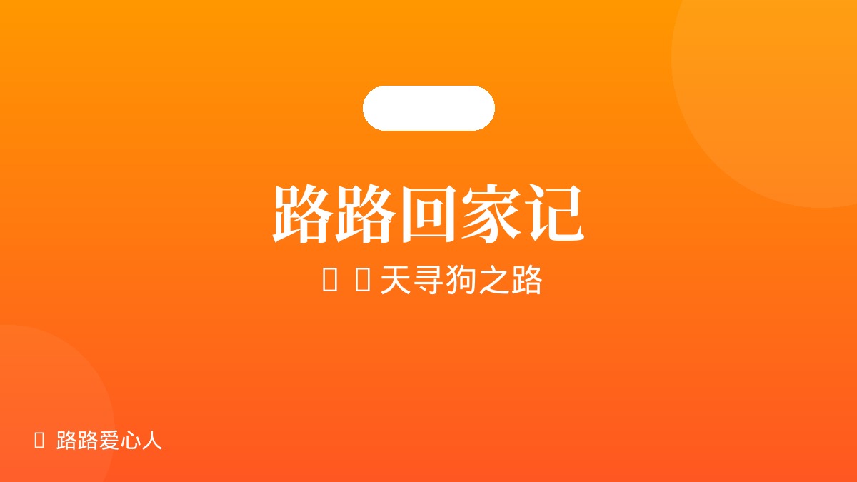 路路回家记：18天寻狗之路的完整回顾