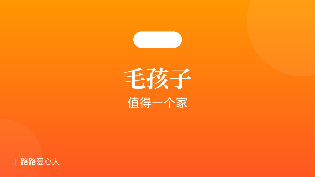 每一个被救助的毛孩子，都值得一个家